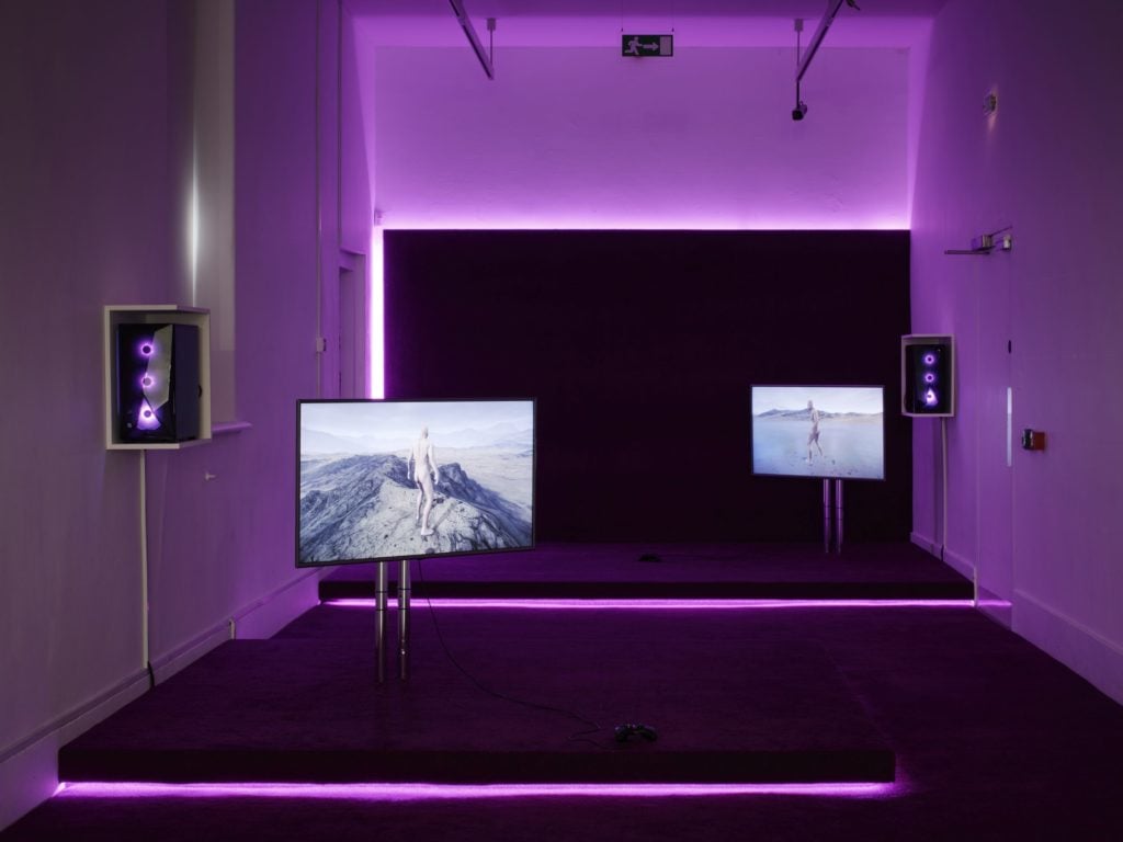 Installation view of "Desire: A Revision from 20th Century to the Digital Age." Photo: Ros Kavanagh, courtesy of IMMA Dublin. 