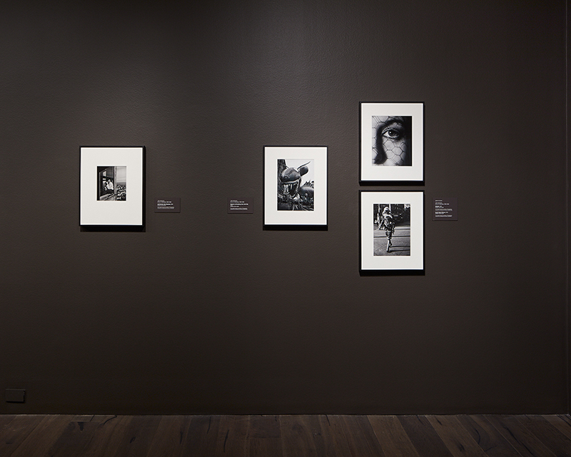Installation view of "Outside Looking In: John Gutmann, Helen Levitt, and Wright Morris" at Cantor Arts Center, Stanford University. 