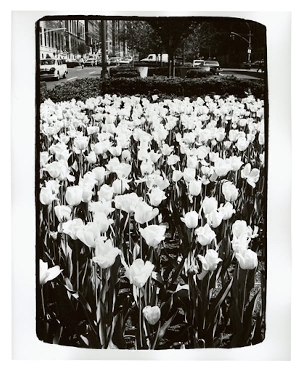 Andy Warhol, <i>Park Avenue Tulips</i>. Image courtesy Christie's.