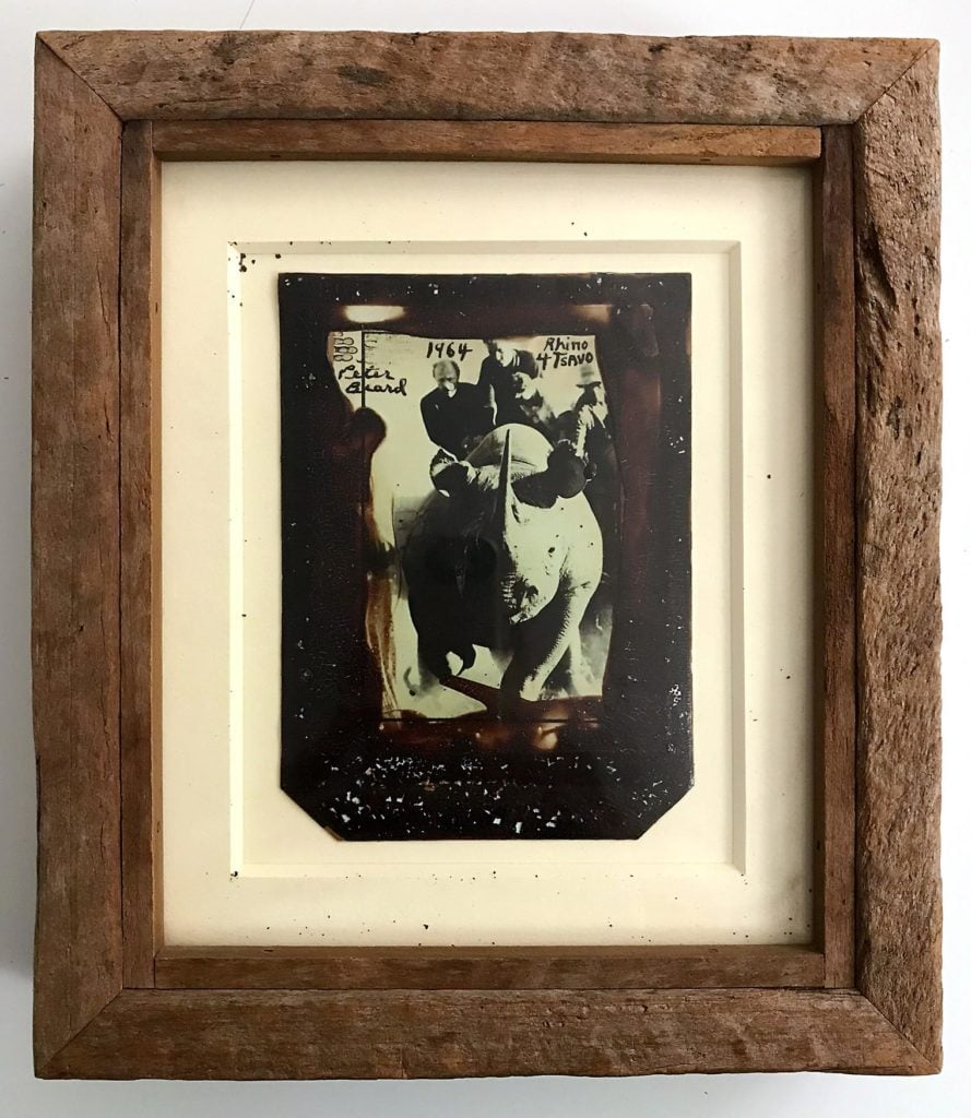 Peter Beard, <em>Roping Rhino, Polaroid Photograph, Black and White</em> (1964) in one of his signature driftwood frames, a style developed with Noel Arakian. Photo courtesy of Sotheby's New York. 