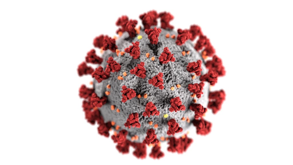 Illustration created at the Centers for Disease Control and Prevention (CDC) of the ultrastructural morphology exhibited by coronaviruses. Image by CDC/ Alissa Eckert, MS and Dan Higgins, MAMS, courtesy the CDC.