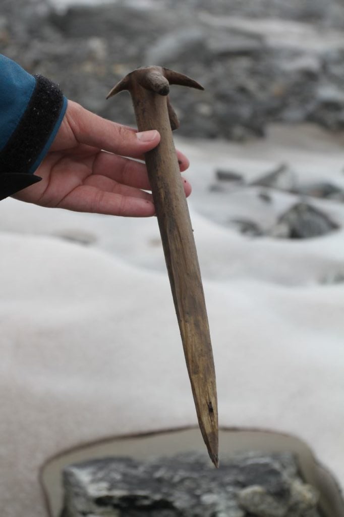 A wooden whisk, radiocarbon-dated to the 11th century AD. It was perhaps secondarily used as a tent peg, as such whisks were rarely pointed. Photo courtesy of Secrets of the Ice.