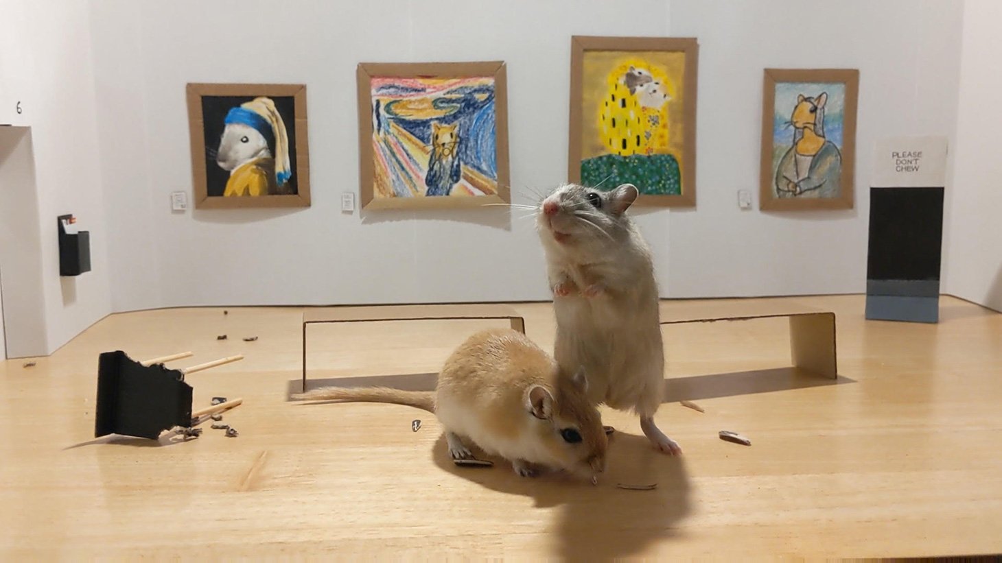 Filippo Lorenzin and Marianna Benetti created the Gerbil Art Gallery for their pets Pandoro and Tiramisu. Photo courtesy of the artists.