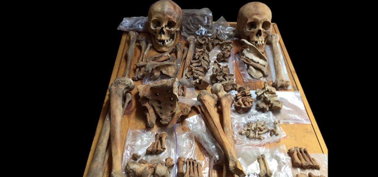 Archaeologists would these skeletons of two people buried in an ancient tomb in Mongolia. The woman (left) may have been a horse-riding, bow-and-arrow-wielding warrior. Photo by Christine Lee.