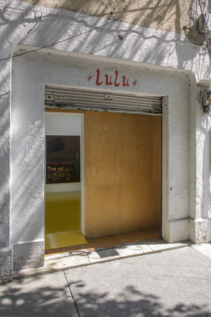 Installation view, "Lewis Hammond: Still Life" at Lulu, Mexico City. 