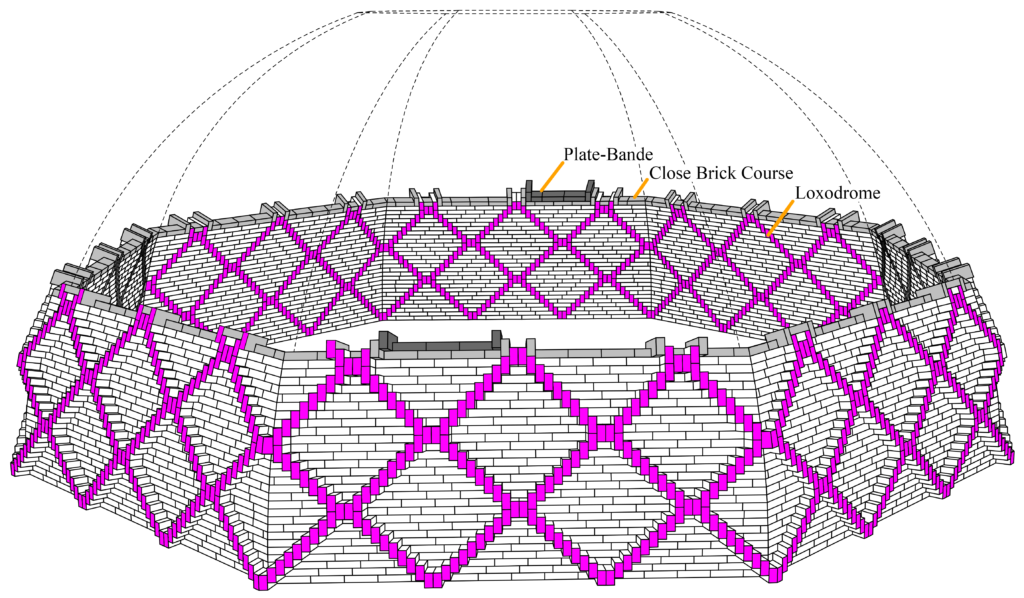 A diagram showing the “complex cross-herringbone spiralling pattern" of the double loxodrome. Courtesy of the researchers.