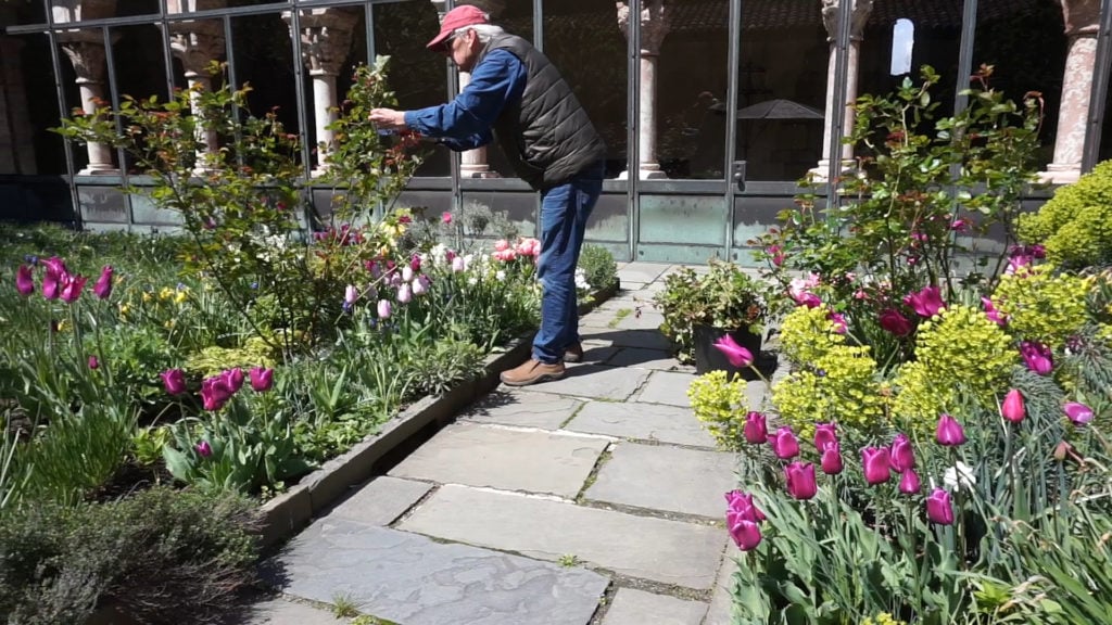 The managing horticulturist at the Met Cloisters, Marc Montefusco. Photo courtesy of Marc Montefusco.