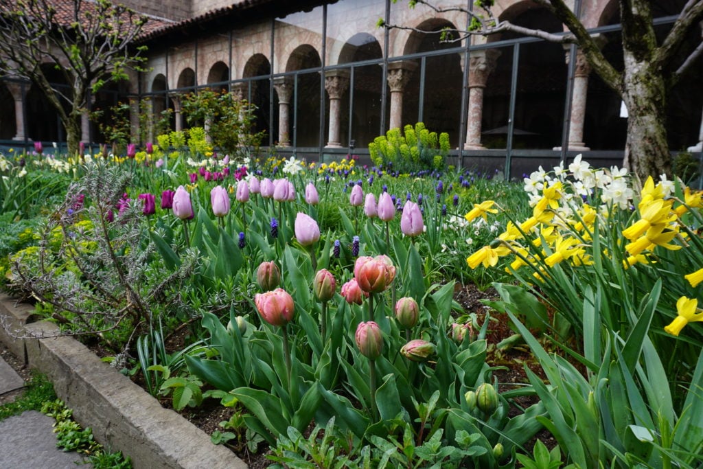 The Met Cloisters during the closure. Photo courtesy of managing horticulturist Marc Montefusco.