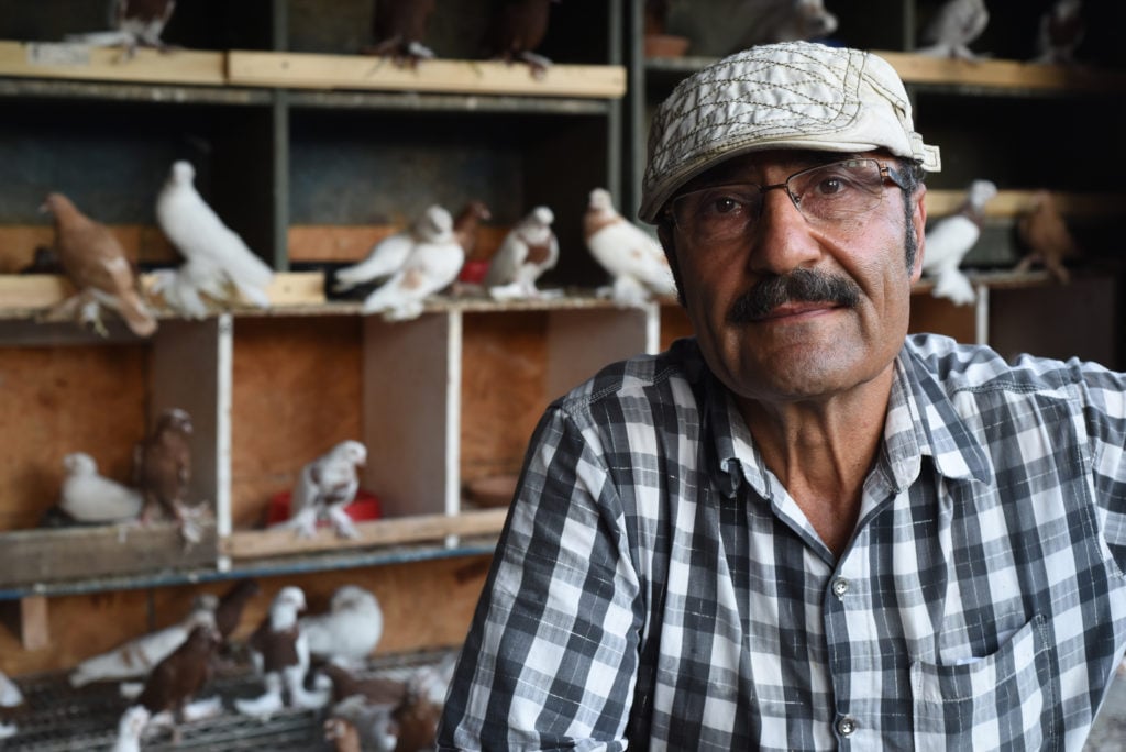 Slavik Haimov, Uzbeki pigeon fancier and tow-truck driver, keeps 300+ pigeons in the corner of his Brooklyn scrapyard. Slavik learned pigeoncraft from his father at age 9 in Uzbekistan. He personally selects a mate for each of his breeding pigeons, and holds auctions on Sundays for Brooklyn's dwindling population of competitive pigeonmasters. Coney Island, end of the F train; 2016. From the series "End of the Line." Photo courtesy of Taylor Chapman. 