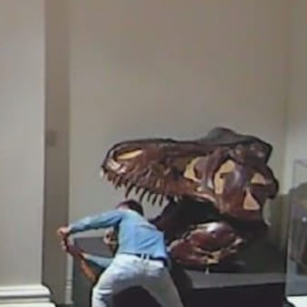 A Dingbat German Student Broke Into an Australian Natural History Museum to Take Selfies With Dinosaur Skeletons