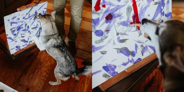Canine artist Sudo at work. Photo courtesy of District Derp.