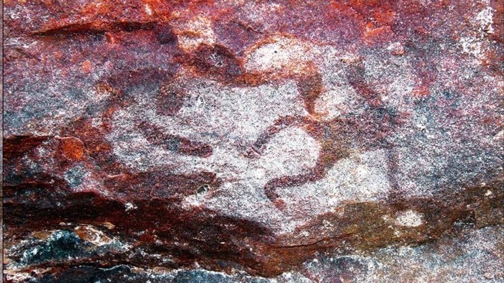 Was this ancient rock art created using beeswax stencils? Photo courtesy of Liam M. Brady, John J. Bradley, Amanda Kearney, and Daryl Wesley.
