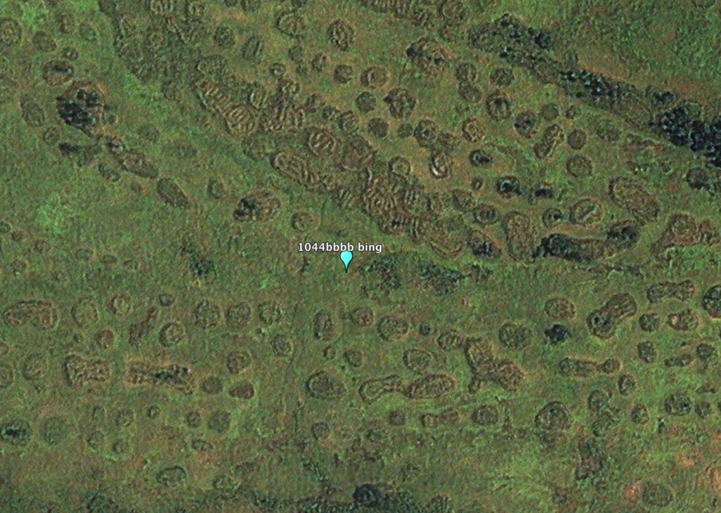 Archaeologist Richard Oslisly believes these formations are evidence of the terraced plantings of an ancient agrarian civilization in the Congo Basin . Image from Bing Maps