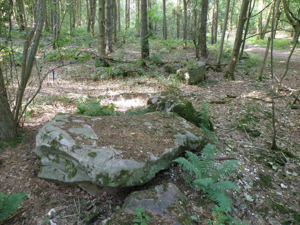 A sarsen, like the ones at Stonehenge, in the West Woods, now known to be the origin of the prehistoric monument's massive stone slabs. Photo by Katy Whitaker, courtesy of Historic England/the University of Reading. 