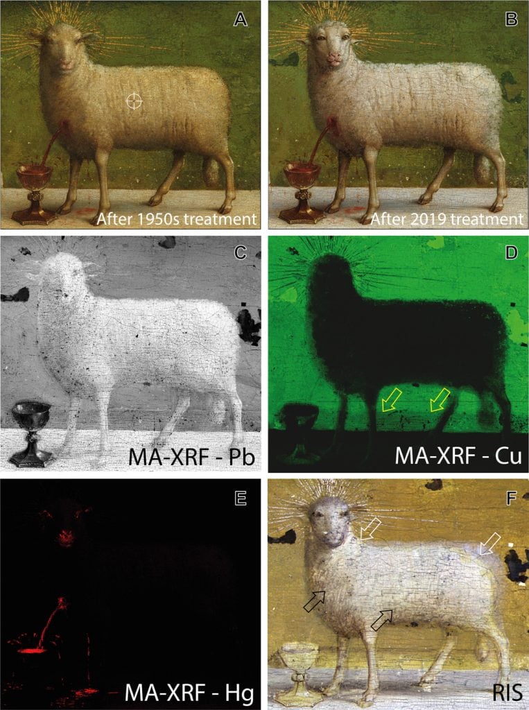 Images revealing the various layers of the lamb.