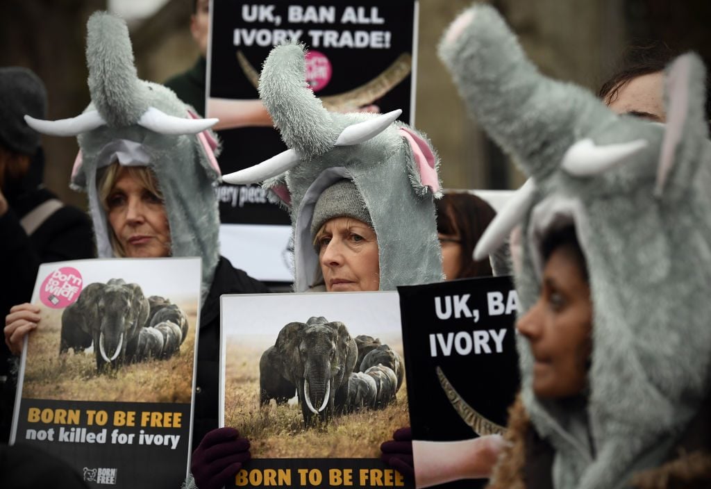 Protesters in elephant outfits take part in a demonstration against the ivory trade on February 6, 2017. Photo by Carl Court/Getty Images.