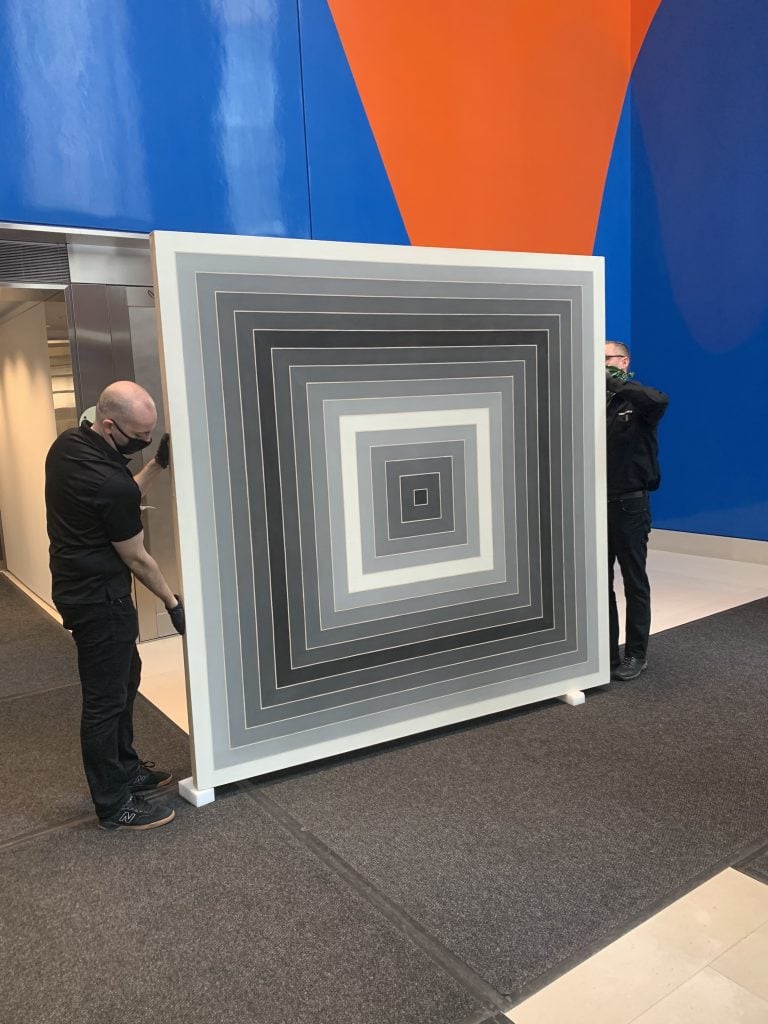 Frank Stella being handled by the handlers.