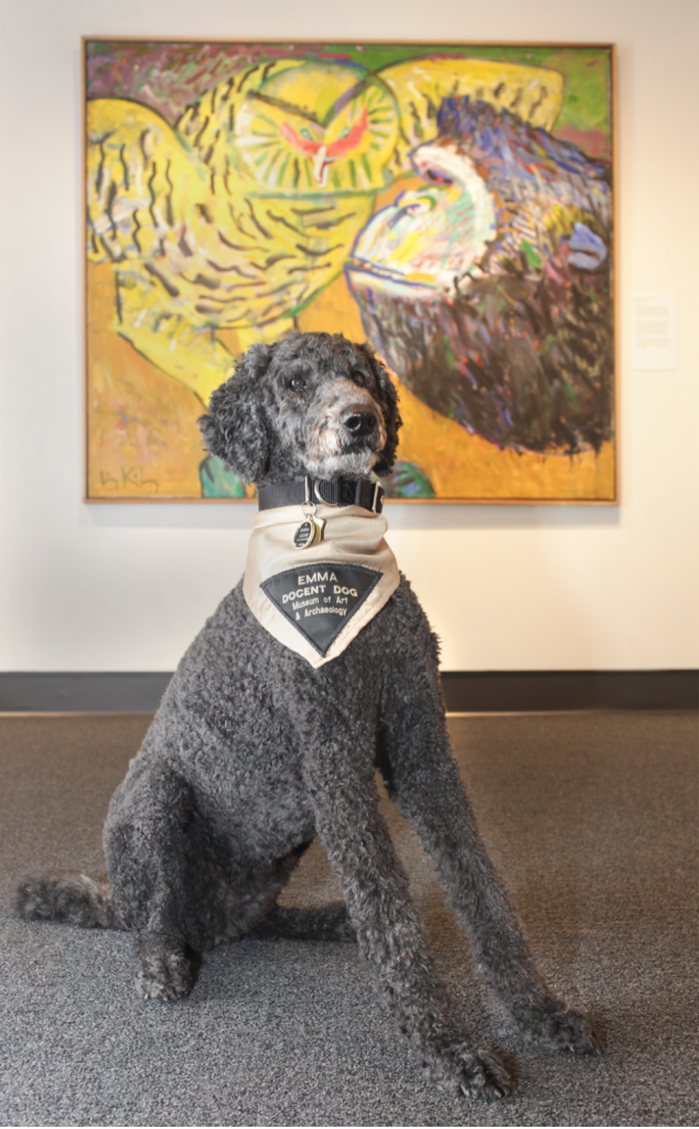 Emma the dog docent at the University of Missouri’s Museum of Art and Archaeology. Photo by Rob Hill, courtesy of the University of Missouri.