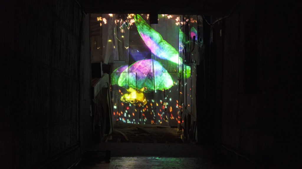 teamLab, <i>Butterflies Dancing in the Depths of the Underground Ruins, Transcending Space</i> (2019). © teamLab, courtesy Pace Gallery.