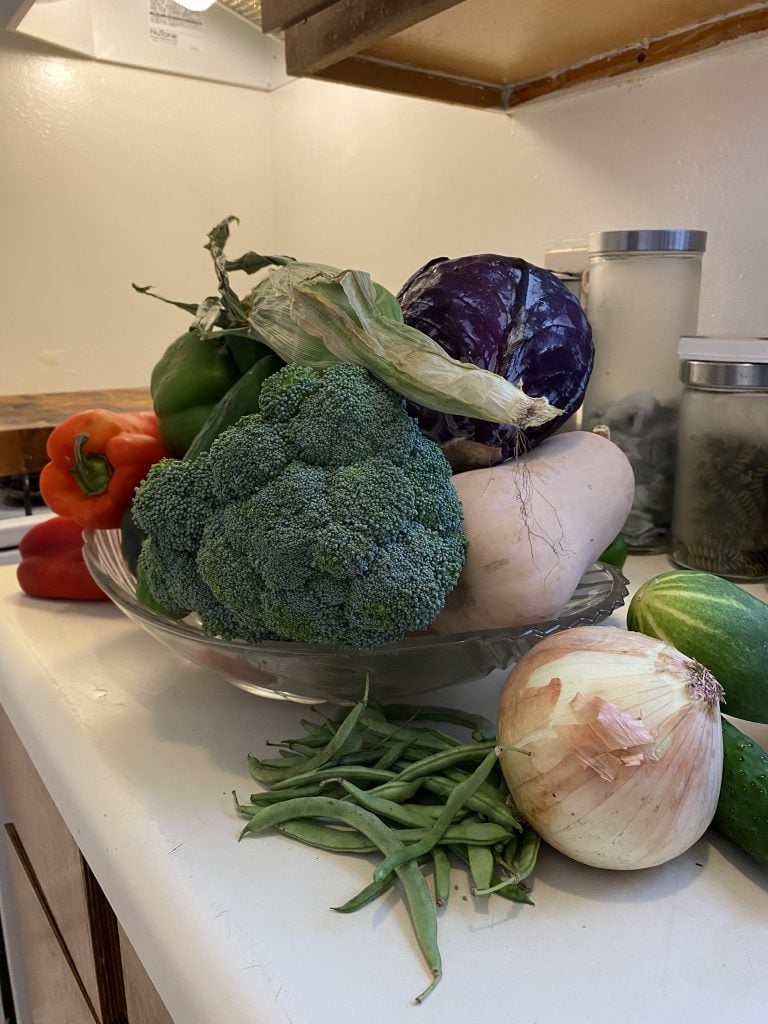 An abundance of vegetables. Photo by Jessica Porter. 