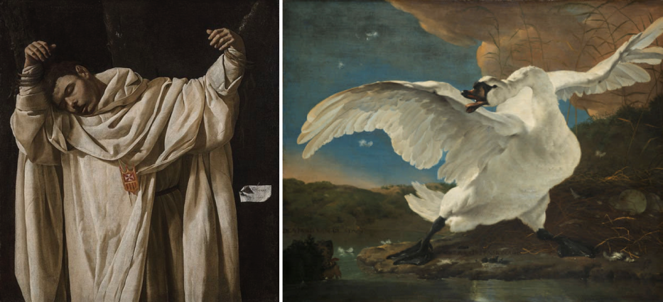 In “Rembrandt and Velazquez” at Amsterdam's Rijksmuseum, curators presented the unlikely but similar pairing of Francisco de Zurbarán’s <em>The Martyrdom of Saint Serapion</em> (left) and Jan Asselijn’s <em>The Threatened Swan</em>. Courtesy of MIT CSAIL.