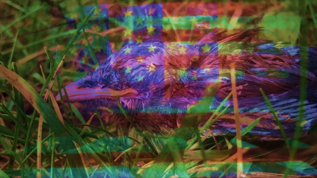 A film still from Jeffrey Gibson, Nothing is Eternal (2020). Courtesy of Sikkema Jenkins & Co, Kavi Gupta Gallery, and Roberts Projects.