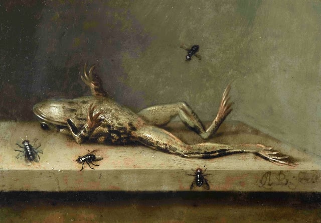 Ambrosius Bosschaert II, Dead Frog with Flies (1630). 
