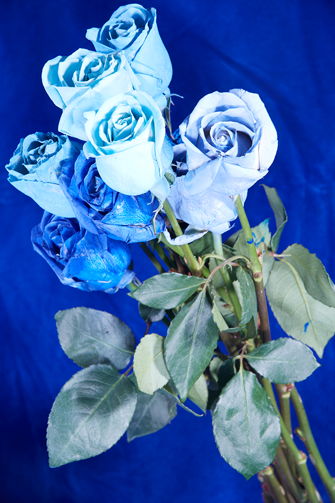 Roe Ethridge, <i>Blue Roses</i> (2017). Courtesy of the artist.