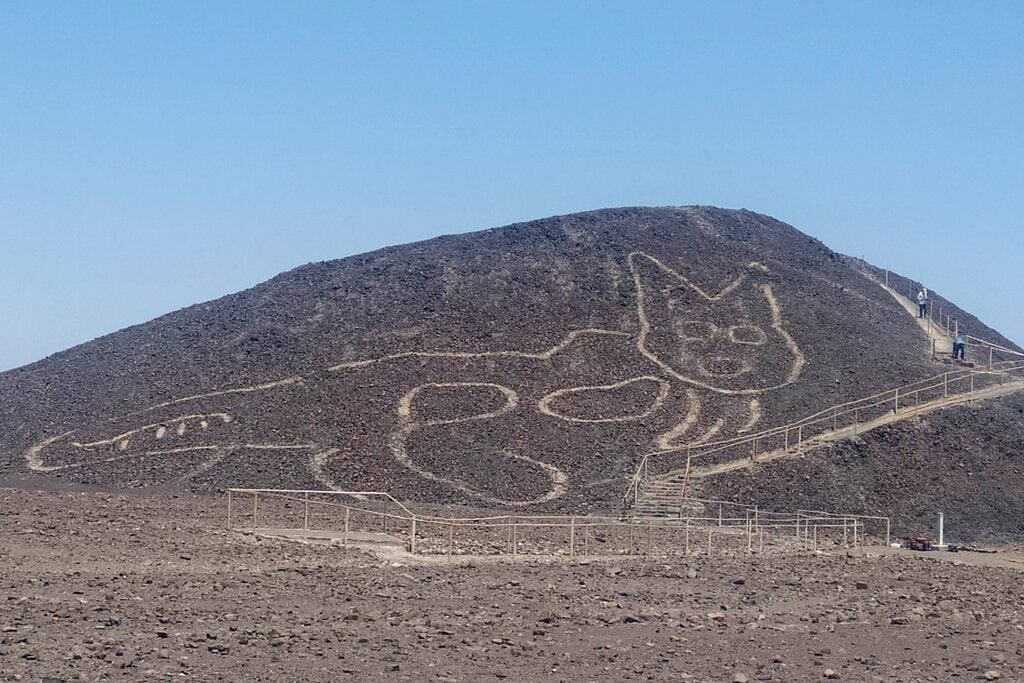 A feline figure has appeared in Peru's Nazca Lines, according to the Culture Ministry.
