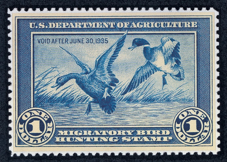 Jay N. "Ding" Darling designed the first Duck Stamp in 1935. Photo courtesy of US Fish & Wildlife Services.