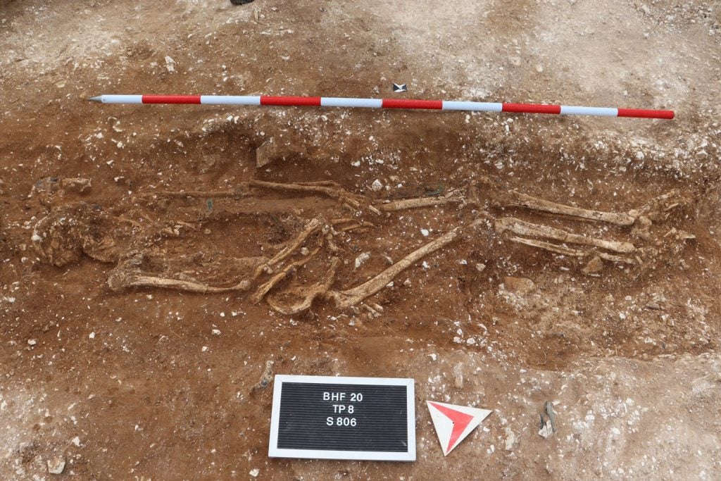 The remains of the Marlow Warlord. Photo courtesy of the University of Reading. 