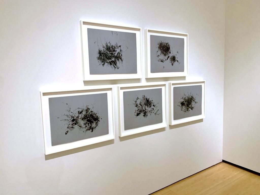 Works from Christine Ay Tjoe's "Floating in the Near Distance" series (all 2018). (Photo by Ben Davis.)