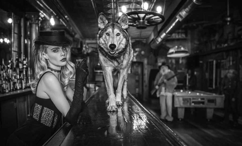 David Yarrow, Cara, Dog-wolf On the Bar (2020). Courtesy Hilton| Asmus.
