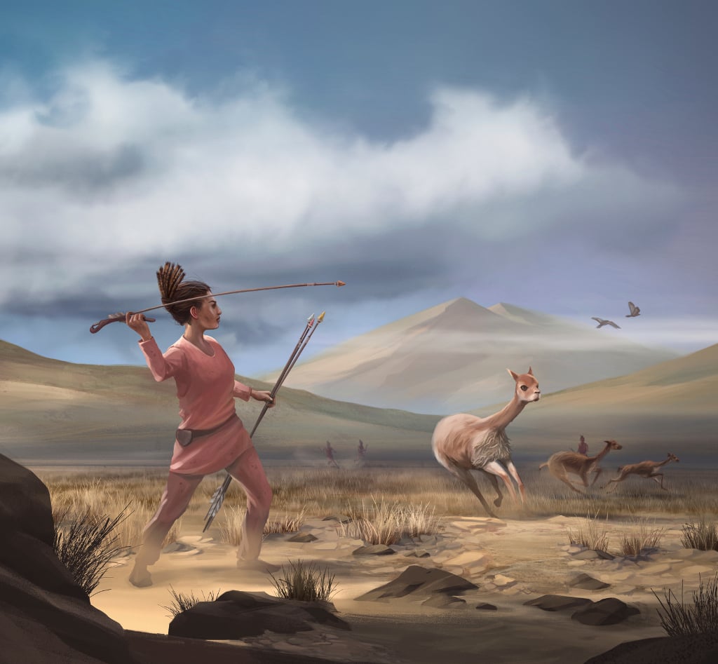 A reconstruction of a Wilamaya Patjxa vicuña hunt by artist Matthew Verdolivo, UC Davis IET Academic Technology Services. Courtesy Randall Haas.