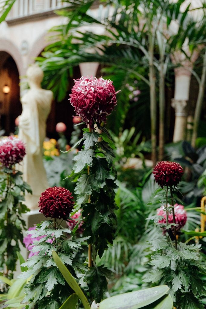 Photo courtesy Ally Schmaling and the Isabella Stewart Gardner Museum.