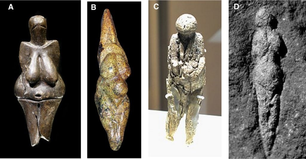 Venus figurines from Europe and the steppes of Russia (38,000 to 14,000 BP). (A) Venus of Dolni Vestonice, Czech, 26,000 BP. (B) Venus of Savignano, Italy, 24,000‐23,000 BP. (C) Venus of Zaraysk, Russia, 19,000 BP. (D) Venus of Abri Pataud, France, 21,000 BP. Photos collected for the study by Richard J. Johnson, Miguel A. Lanaspa, and John W. Fox. 