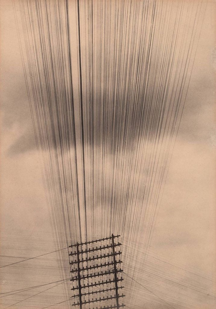 Tina Modotti, <i>Telephone Wires, Mexico</i>, 1925. Courtesy the Museum of Modern Art, New York. 