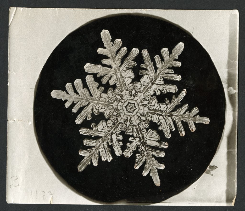A snowflake photograph by Wilson A. Bentley, the first person to capture an individual snowflake on film. Photo courtesy of the Smithsonian Institution Archives.
