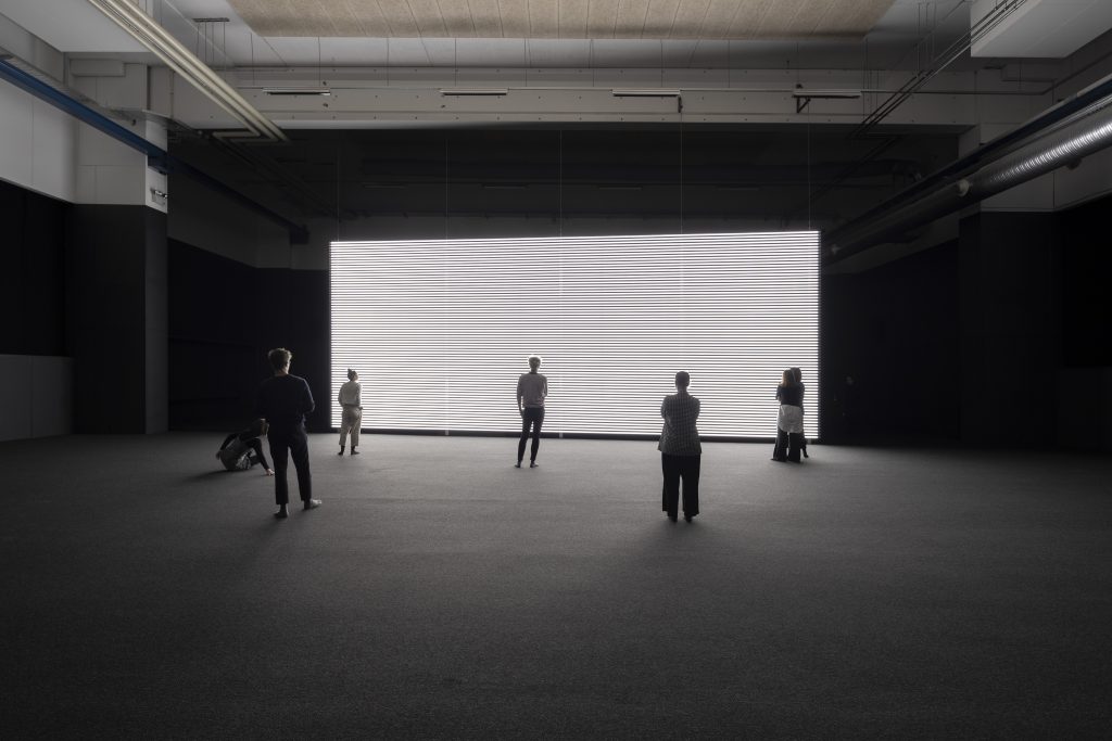 Marianna Simnett Faint with Light (2016). Installation view at Copenhagen Contemporary, Copenhagen, 2019. Courtesy the artist. Photo: Anders Sune Berg.