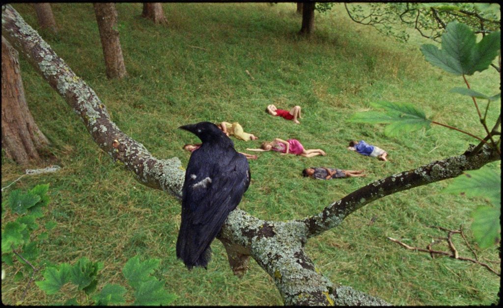 Marianna Simnett The Bird Game (film still) (2019). Courtesy the artist, FVU, the Rothschild Foundation and the Frans Hals Museum.