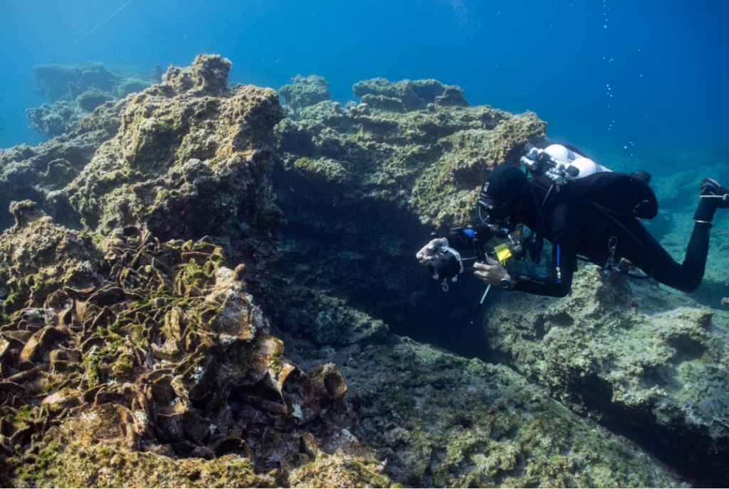 A diver investigating the ancient wreck. Photo by C. Hoye, courtesy of the National Hellenic Research Foundation.