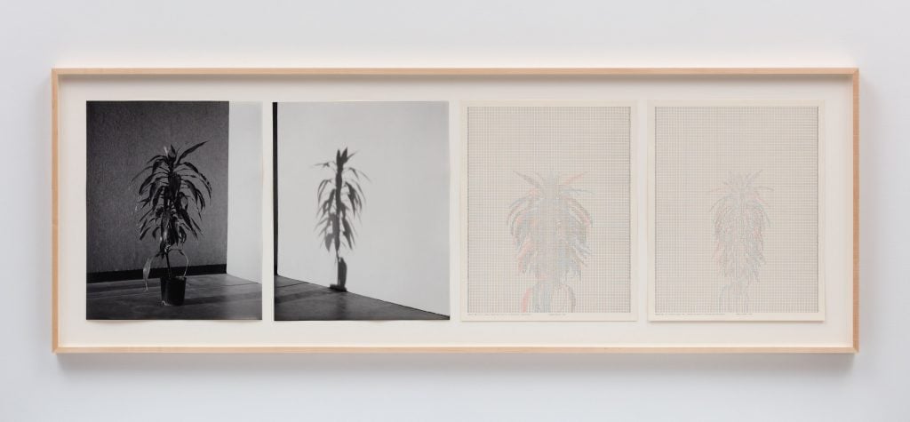 Charles Gaines, Shadows IX, Set 3 (1980). In works made earlier in his career, such as the "Shadows" series, Gaines's political sensibility had yet to emerge. © Charles Gaines. Photo: Fredrik Nilsen, courtesy the artist and Hauser & Wirth