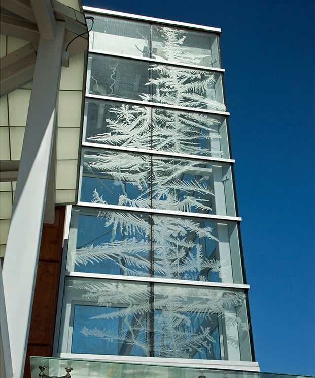 Some of Len Burgess's ice crystal photography was used in Catherine Widgery's <em>Crystal Light</em> public art installation at the North Temple Bridge/Guadalupe station on the Airport TRAX line in Salt Lake City. Photo courtesy of Len Burgess. 