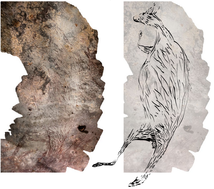 A photograph of the kangaroo rock painting and a drawing of it. Photo by Damien Finch. Drawing by Pauline Heaney.