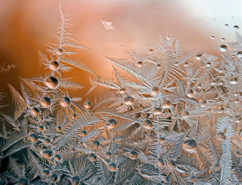 Some of Len Burgess's ice crystal photography. Photo courtesy of Len Burgess.