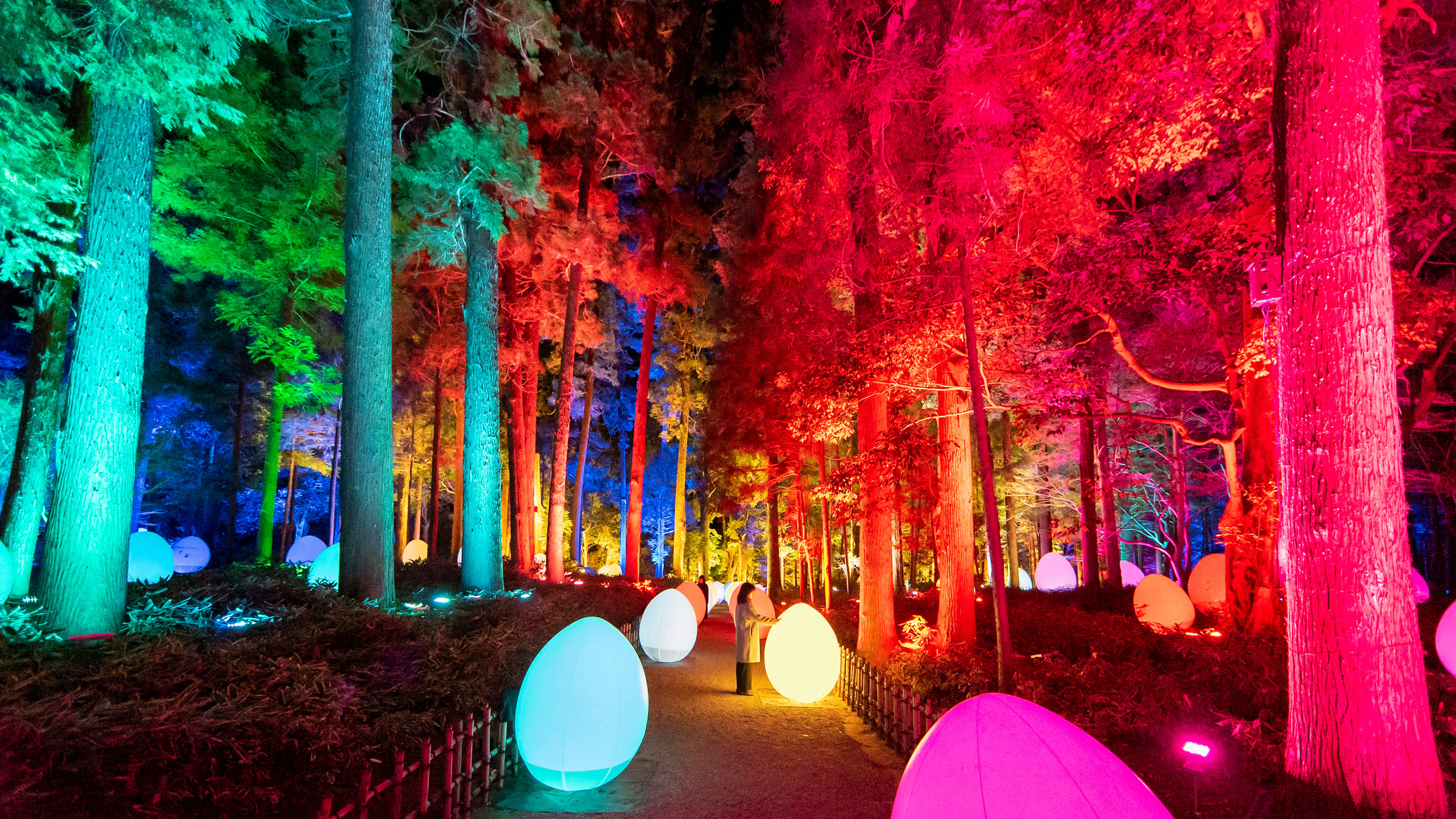 A New teamLab Exhibition at One of the 'Three Great Gardens' of 