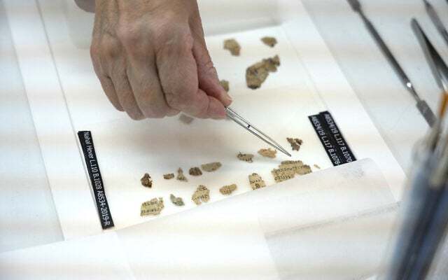Sections of the Dead Sea Scroll discovered in the Judean Desert after conservation. Photo by Shai Halevi, courtesy of the Israel Antiquities Authority.