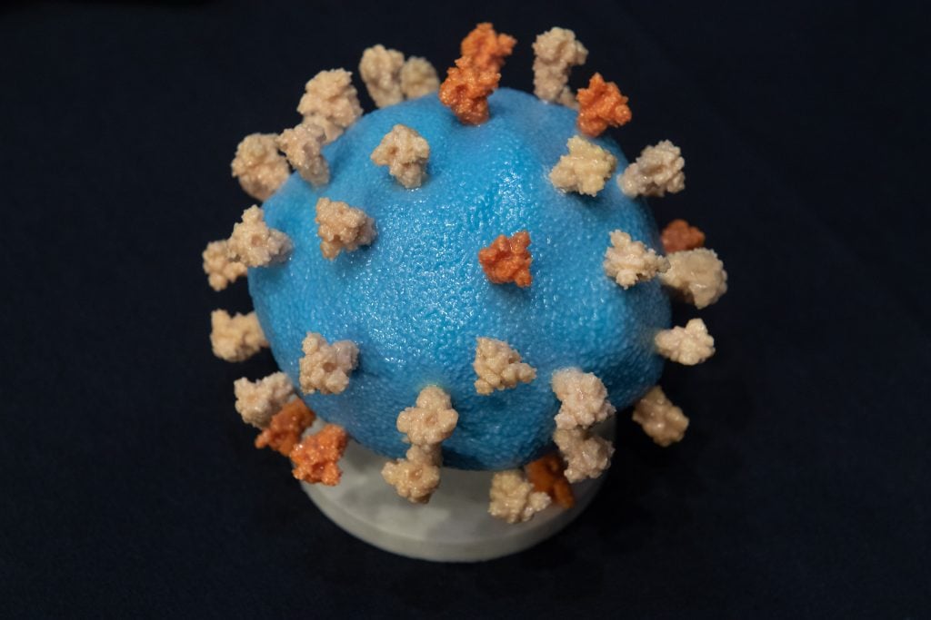 A model of COVID-19, known as coronavirus, is seen ahead of testimony from Dr. Francis Collins, Director of the National Institutes of Health, during a US Senate Appropriations subcommittee hearing on the plan to research, manufacture and distribute a coronavirus vaccine, known as Operation Warp Speed, July 2, 2020, on Capitol Hill in Washington, DC. Photo by Saul Loeb-Pool/Getty Images.