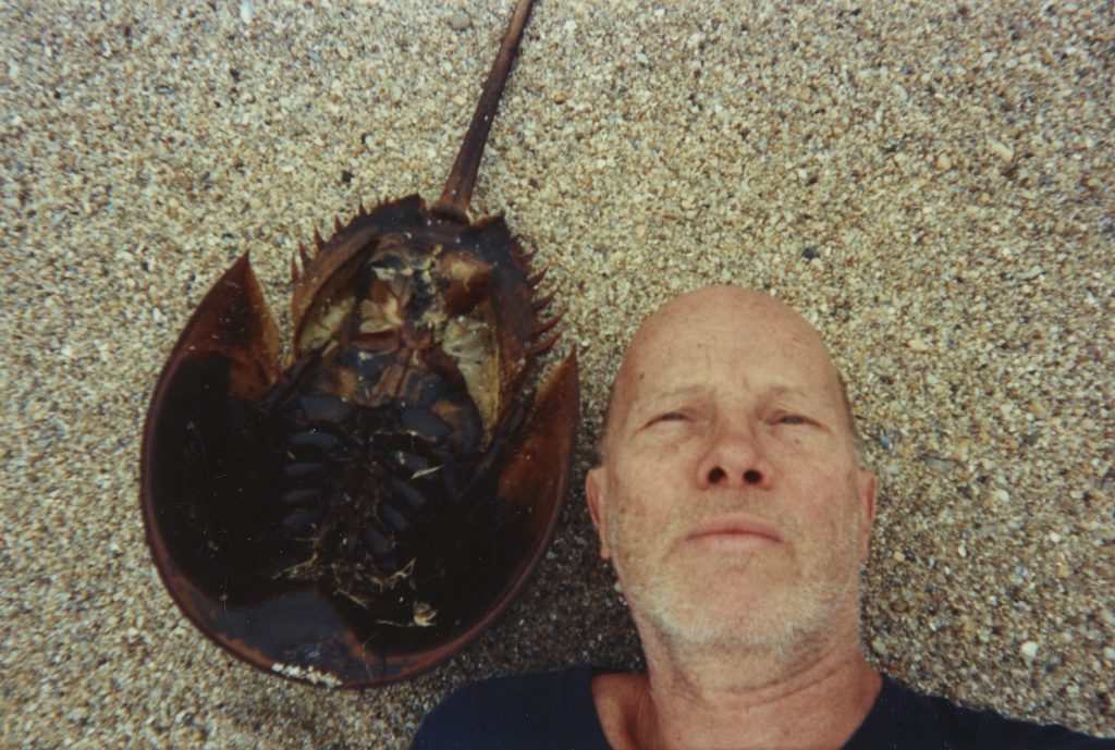 Ray Johnson, Untitled (Ray Johnson and Horseshoe Crab) (1992). Image courtesy of the Morgan Library & Museum © The Ray Johnson Estate, New York.