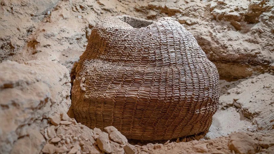 The 10,500-year-old basket as found in Muraba'at Cave. Photo by Yaniv Berman, courtesy of Israel Antiquities Authority.